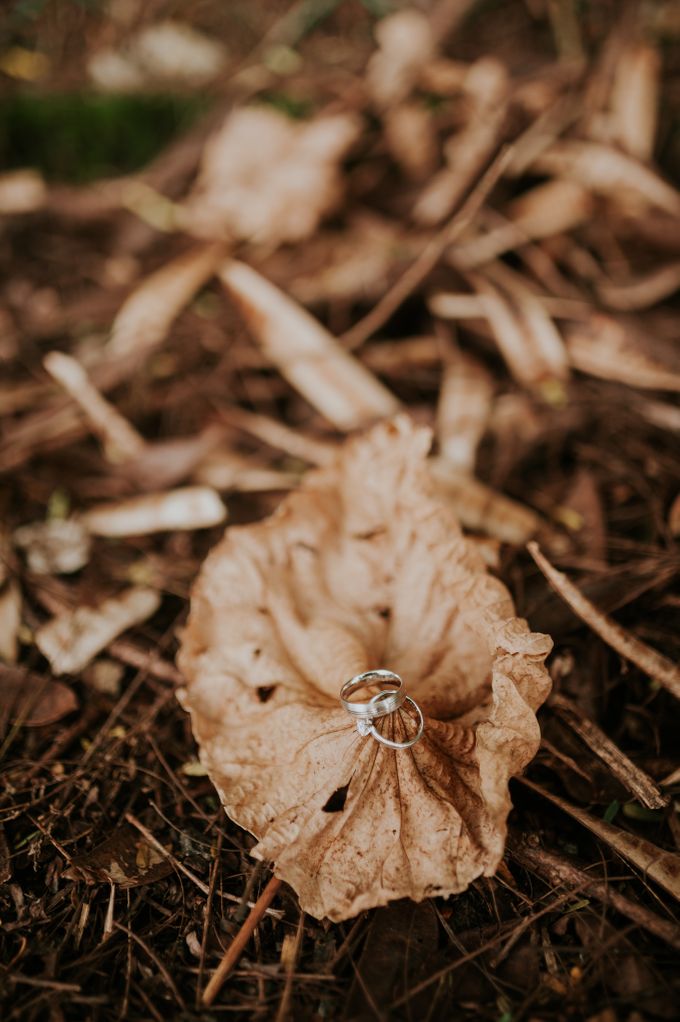 Wilson & Ashley by Edmond Loke Photography - 008 Wilson & Ashley by Edmond Loke Photography - 008
