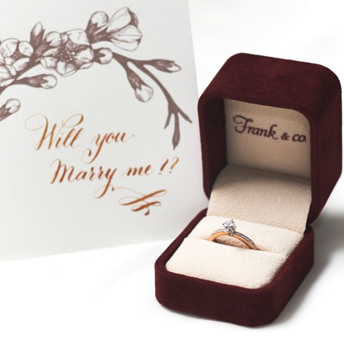 Love Story by Frank & co. - 001 Love Story by Frank & co. - 001