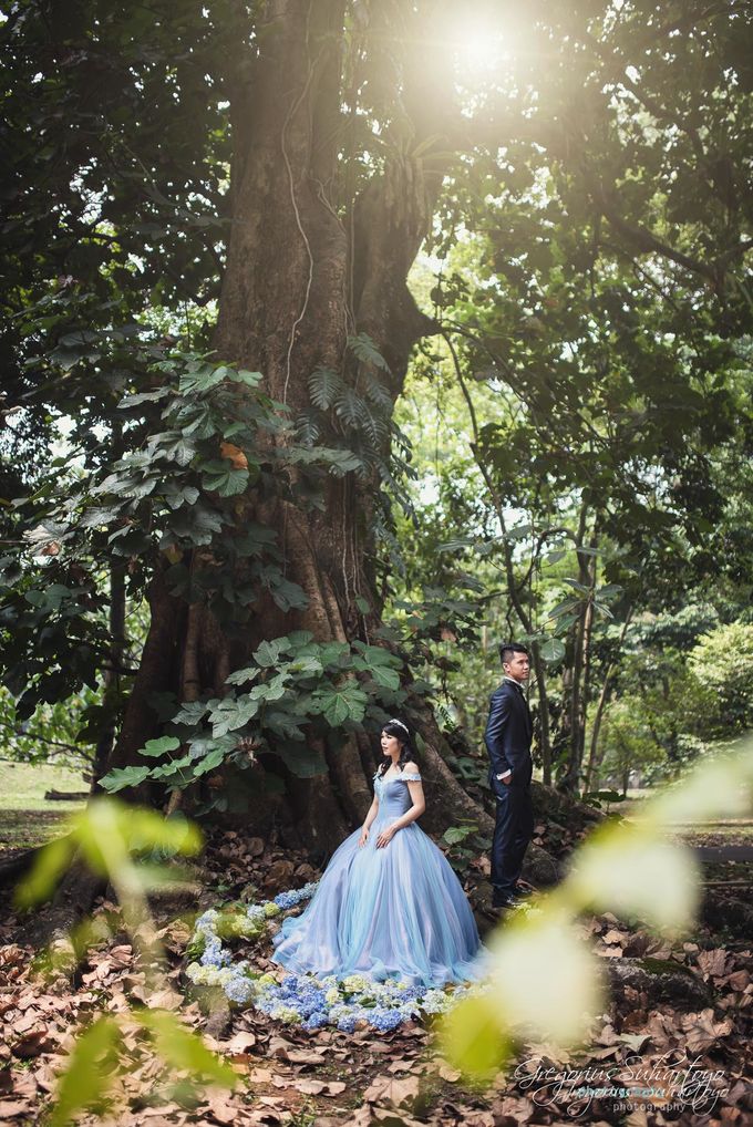 Teaser of Grady Vina Journey by Gregorius Suhartoyo Photography - 005 Teaser of Grady Vina Journey by Gregorius Suhartoyo Photography - 005