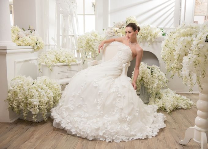 Wedding Collections by Cynthia Kusuma - 004 Wedding Collections by Cynthia Kusuma - 004