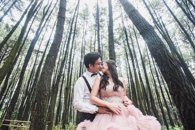 Wedding Collections by Vey Gallery - 010 Wedding Collections by Vey Gallery - 010