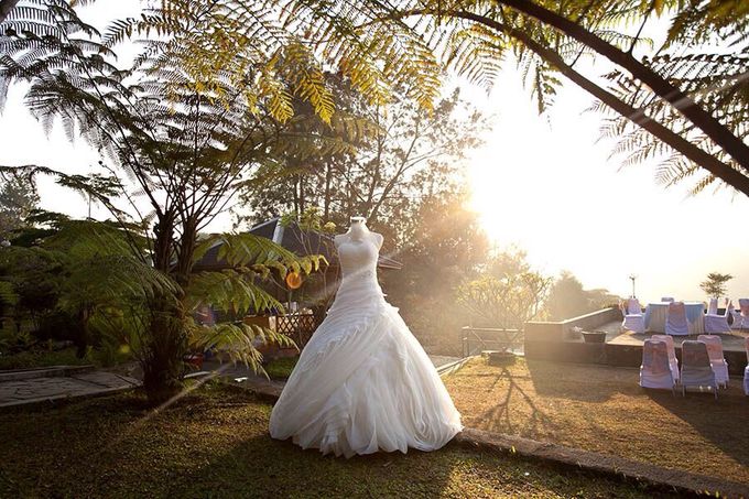 Wedding by Bellasposa Bridal - 004 Wedding by Bellasposa Bridal - 004