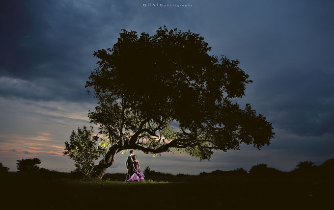 hartono & intan prewedding by alivio photography - 005