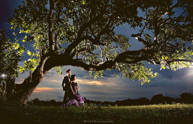 hartono & intan prewedding by alivio photography - 006 hartono & intan prewedding by alivio photography - 006