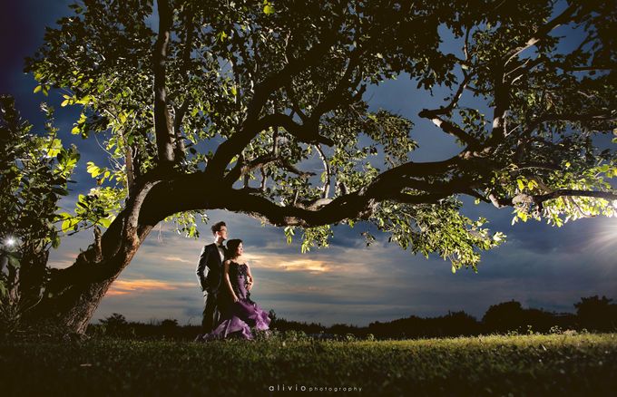 hartono & intan prewedding by alivio photography - 006