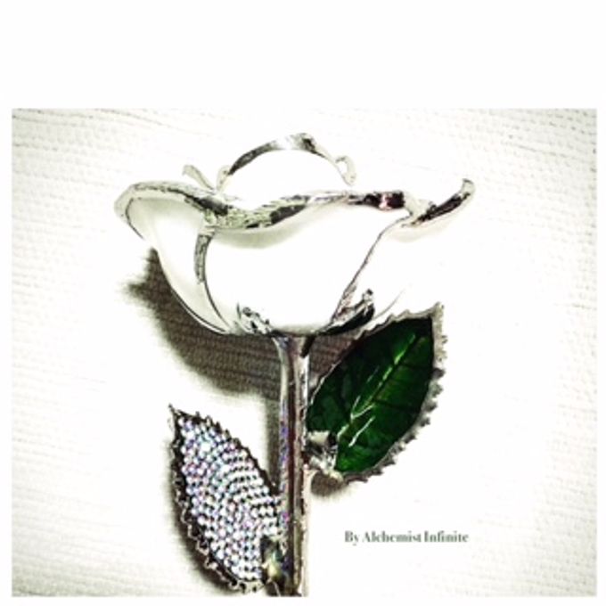 An Immortalized Flower@Real Rose in Platinum by Alchemist Infinite Pte. Ltd - 005 An Immortalized Flower@Real Rose in Platinum by Alchemist Infinite Pte. Ltd - 005