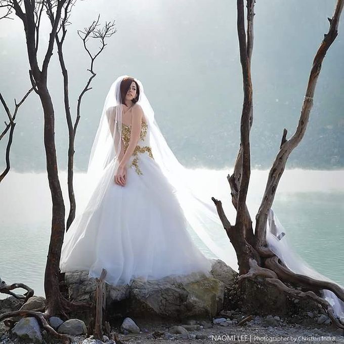 My Collection by Belle Mariee Bridal - 039 My Collection by Belle Mariee Bridal - 039