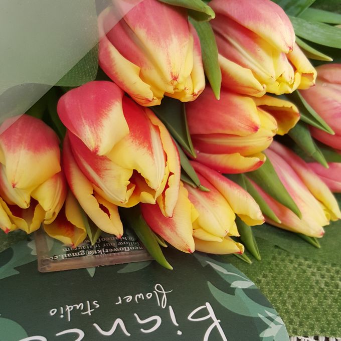 Tulip Fair by biancoflowerjkt - 015