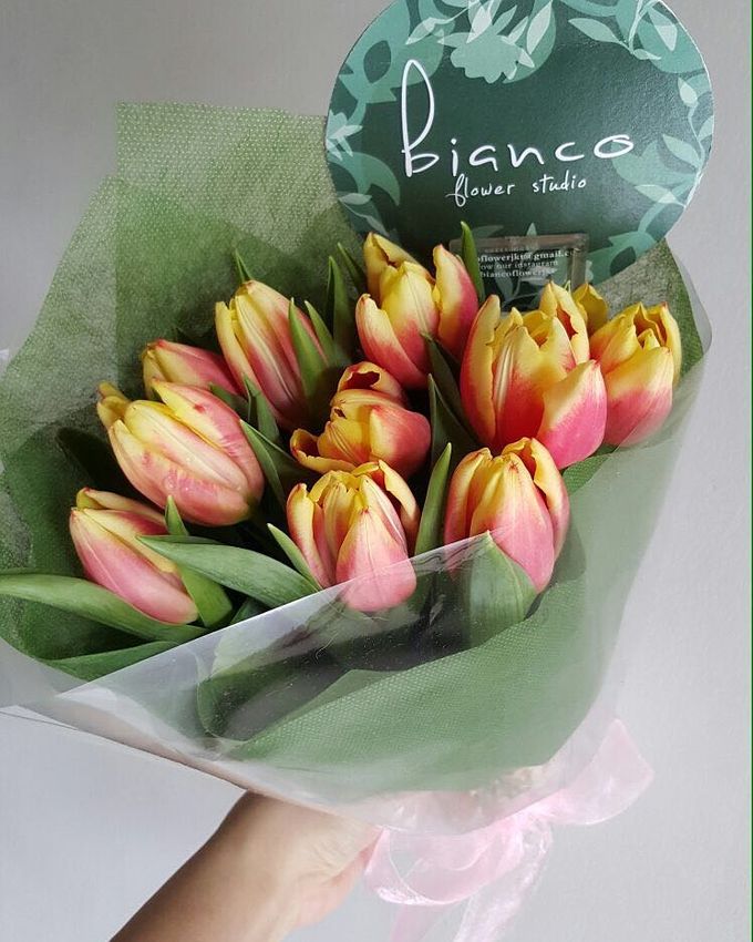 Tulip Fair by biancoflowerjkt - 003 Tulip Fair by biancoflowerjkt - 003