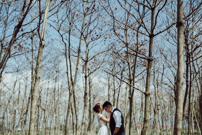 SOUTHERN TAIWAN ESCAPE - GEORGE & SONIA- KAOHSIUNG by 520library - 011