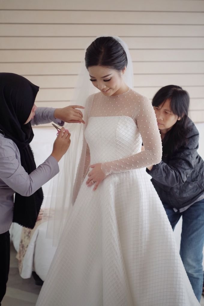 Verena Mia Wedding Gown 2017 by David Christover - 004 Verena Mia Wedding Gown 2017 by David Christover - 004
