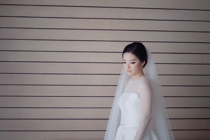 Verena Mia Wedding Gown 2017 by David Christover - 007 Verena Mia Wedding Gown 2017 by David Christover - 007