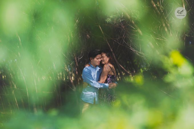 Rachel & Timothy by Wishwander Pictures - 001 Rachel & Timothy by Wishwander Pictures - 001