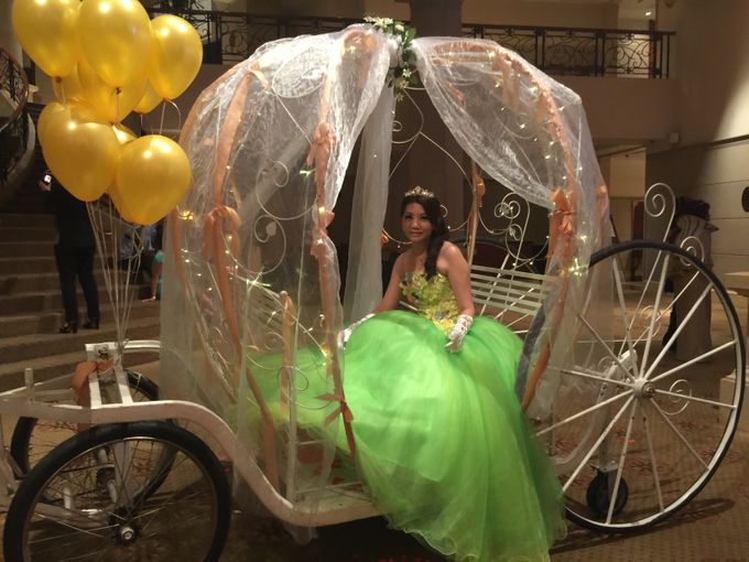 Cinderella Carriage Rental by Cinderella Dream