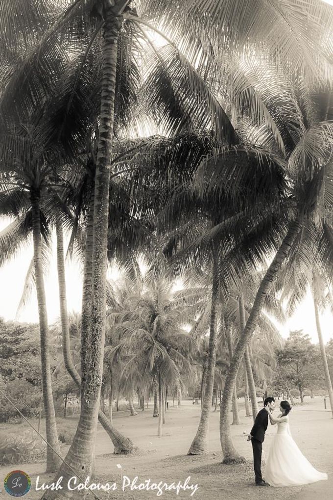 Singapore Pre Wedding Photography for Chongyou & Kai Ling by Lush Colours Photography - 007