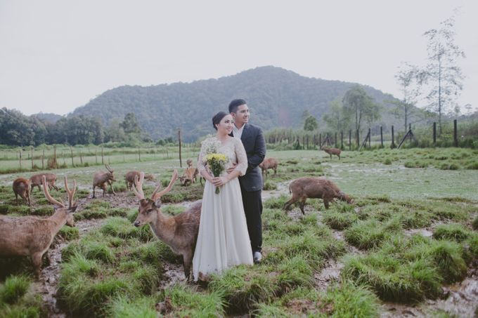 Olin N Chiki Prewedding by MataHati Graphy - 012 Olin N Chiki Prewedding by MataHati Graphy - 012