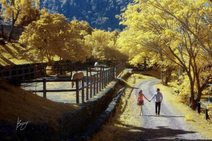 Infrared Photography by Bogs Ignacio Signature Gallery - 038 Infrared Photography by Bogs Ignacio Signature Gallery - 038