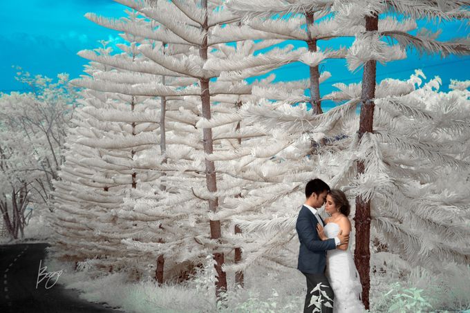 Infrared Photography by Bogs Ignacio Signature Gallery - 046 Infrared Photography by Bogs Ignacio Signature Gallery - 046