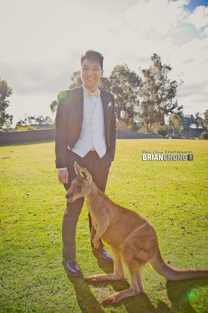 JOJO & PO PRE-WEDDING by Brian Chong Photography - 014 JOJO & PO PRE-WEDDING by Brian Chong Photography - 014