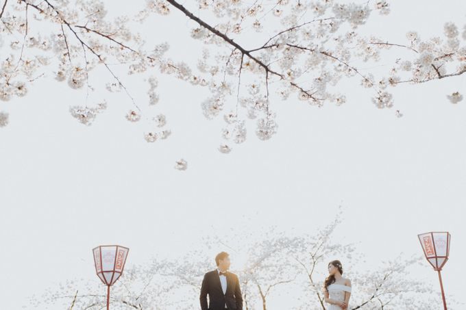 Liana and Ivan Japan Destination Couple Session by Terralogical - 023 Liana and Ivan Japan Destination Couple Session by Terralogical - 023