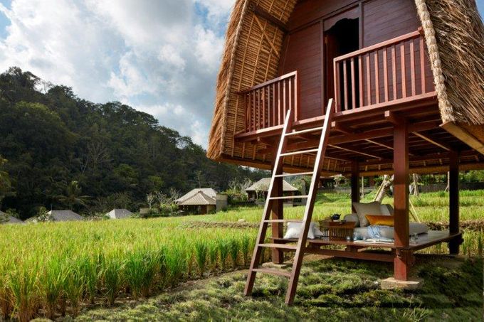 Mandapa a Ritz-Carlton Reserve by Mandapa, a Ritz-Carlton Reserve - 012 Mandapa a Ritz-Carlton Reserve by Mandapa, a Ritz-Carlton Reserve - 012