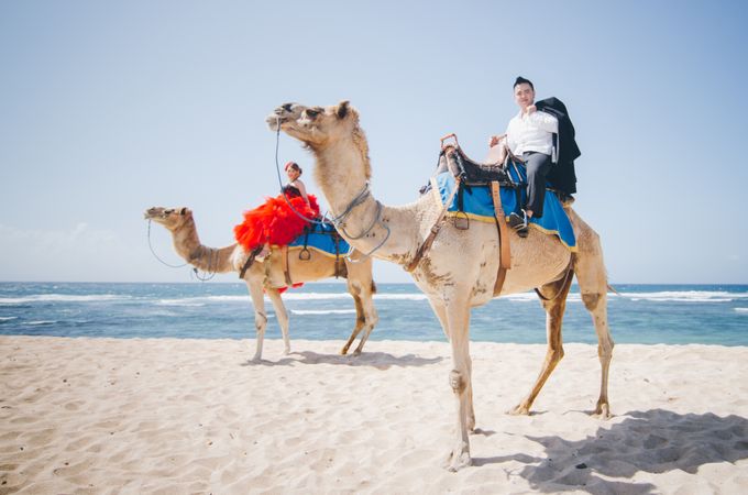 Love in Bali Camel by Mariyasa - 018 Love in Bali Camel by Mariyasa - 018