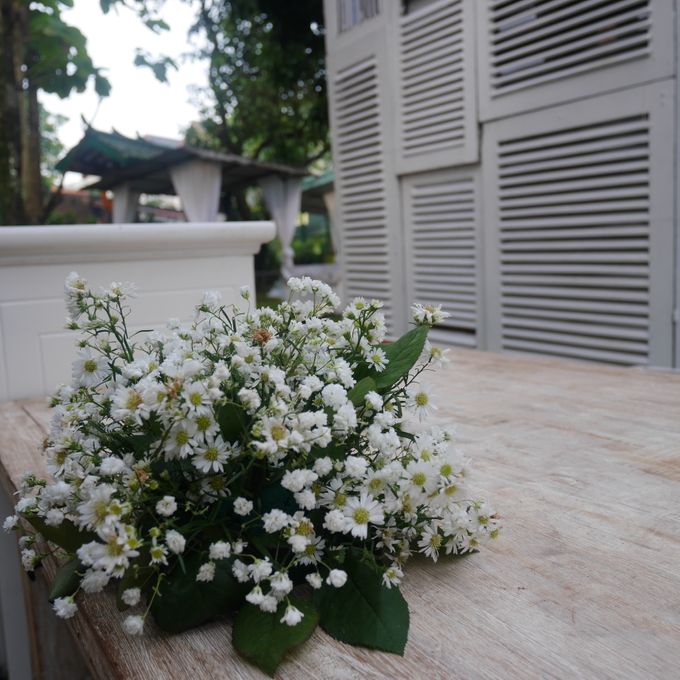 Buni Manten Outdoor WeddingDecoration by Buni Manten - 027 Buni Manten Outdoor WeddingDecoration by Buni Manten - 027