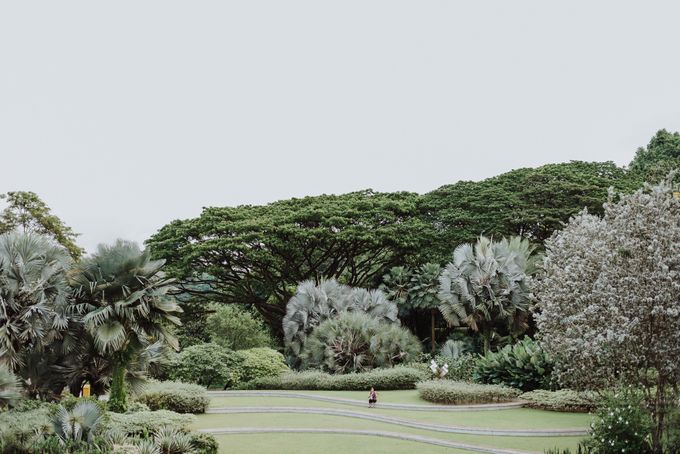 Jonus & Juliana ROM by Andri Tei Photography - 004