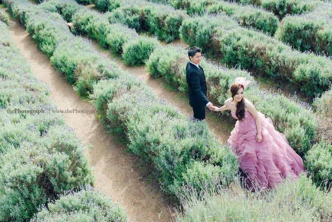 The Photograph by thePhotograph - 016 The Photograph by thePhotograph - 016
