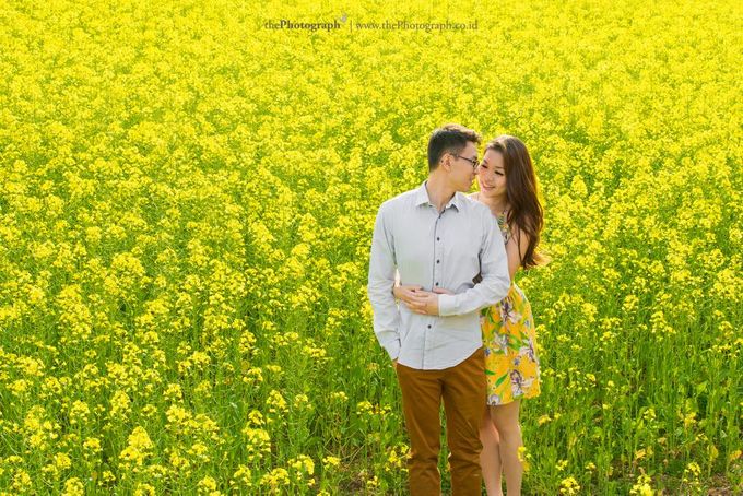 The Photograph by thePhotograph - 017 The Photograph by thePhotograph - 017