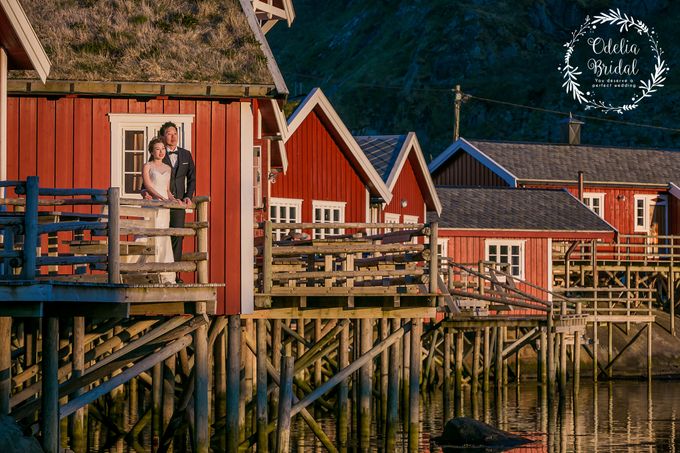 Lofoten . Norway. Destination pre wedding photography by Odelia Bridal - 014 Lofoten . Norway. Destination pre wedding photography by Odelia Bridal - 014