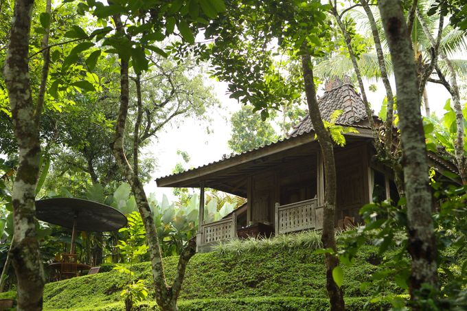 Plataran Borobudur Resort and Spa by Plataran Indonesia - 020 Plataran Borobudur Resort and Spa by Plataran Indonesia - 020
