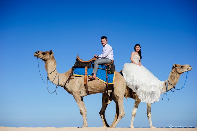 Stevan and Irene - Engagement by The Wagyu Story - 024 Stevan and Irene - Engagement by The Wagyu Story - 024