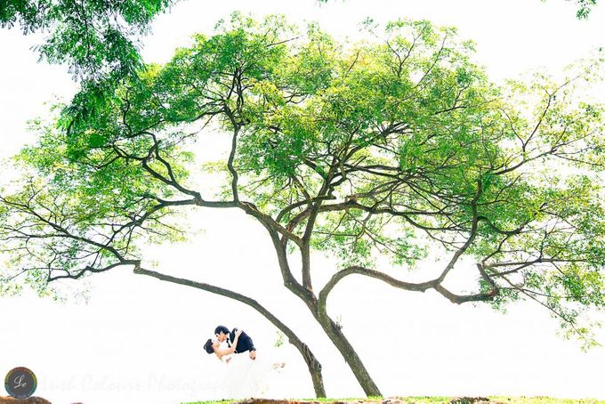 Singapore Pre Wedding Photography for Chongyou & Kai Ling by Lush Colours Photography - 017 Singapore Pre Wedding Photography for Chongyou & Kai Ling by Lush Colours Photography - 017