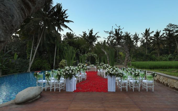 Plataran Ubud Hotel and Spa by Plataran Indonesia - 006 Plataran Ubud Hotel and Spa by Plataran Indonesia - 006