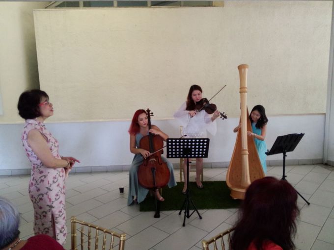 Harp Trio at the Church Wedding of Samantha & Arvind by Merry Bees Live Music - 003 Harp Trio at the Church Wedding of Samantha & Arvind by Merry Bees Live Music - 003
