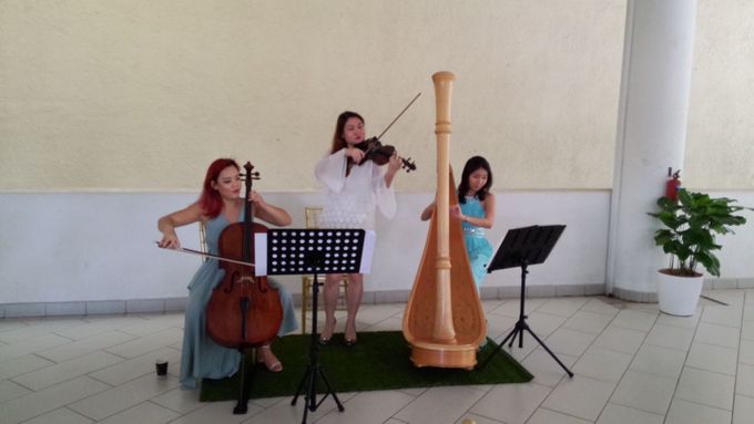Harp Trio at the Church Wedding of Samantha & Arvind by Merry Bees Live Music - 004 Harp Trio at the Church Wedding of Samantha & Arvind by Merry Bees Live Music - 004