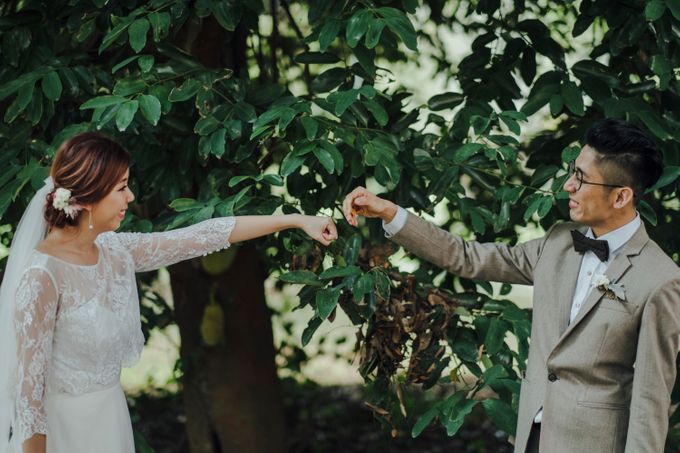 Don & Daphne by 520library - 010