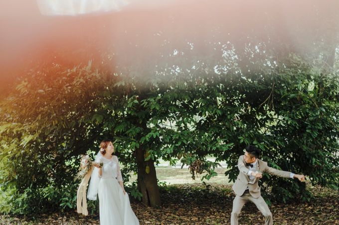 Don & Daphne by 520library - 011