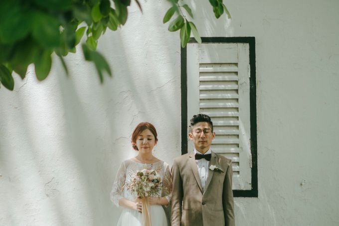 Don & Daphne by 520library - 012