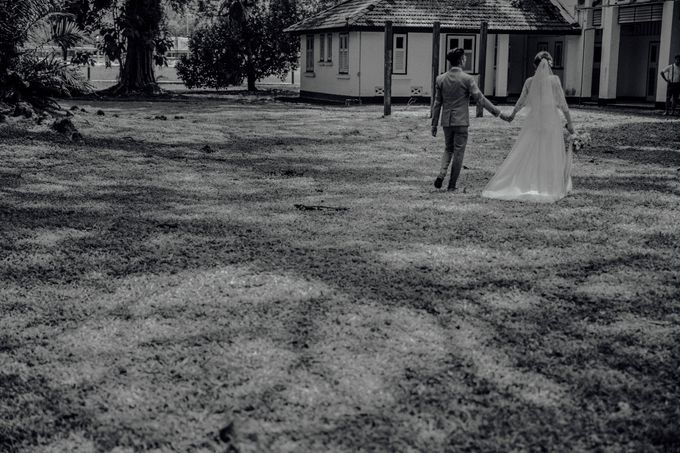 Don & Daphne by 520library - 015