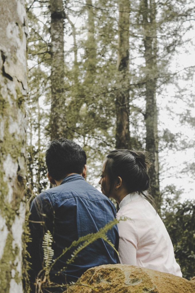 FOREST LOVE by Vintageopera Slashwedding - 005 FOREST LOVE by Vintageopera Slashwedding - 005