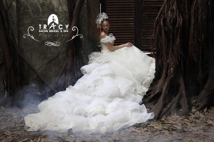 New Collection 2014 by Tracy Bridal House - 007 New Collection 2014 by Tracy Bridal House - 007