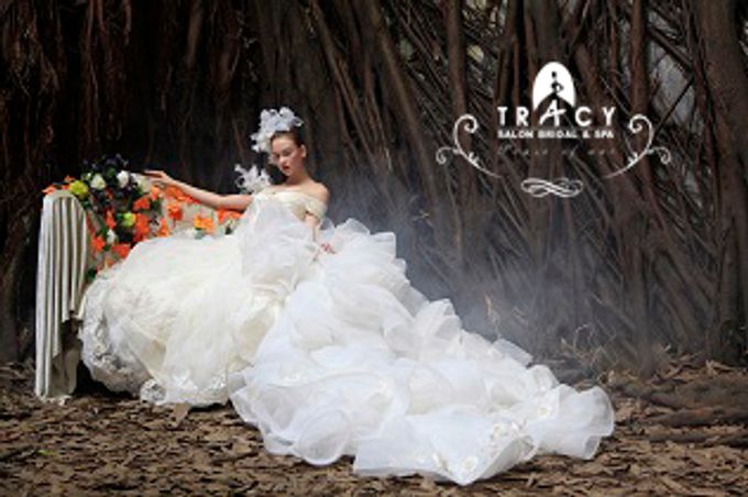 New Collection 2014 by Tracy Bridal House - 009