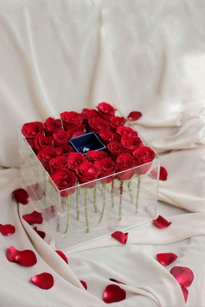 Joyeria Boxes by Beile Jewelry - 003 Joyeria Boxes by Beile Jewelry - 003