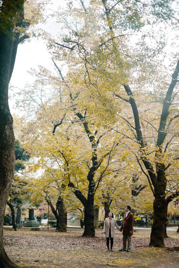 Japan | Prewedding Sutrisno & Verlina by Monchichi - 007 Japan | Prewedding Sutrisno & Verlina by Monchichi - 007