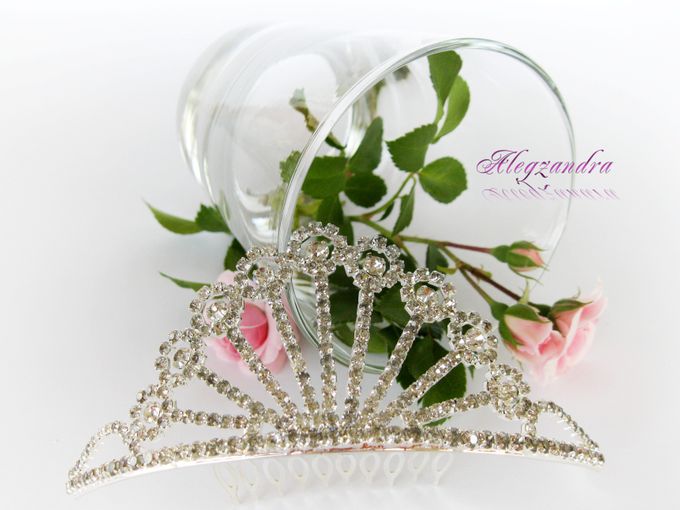Bridal Tiara by Pamela Falli - 009 Bridal Tiara by Pamela Falli - 009