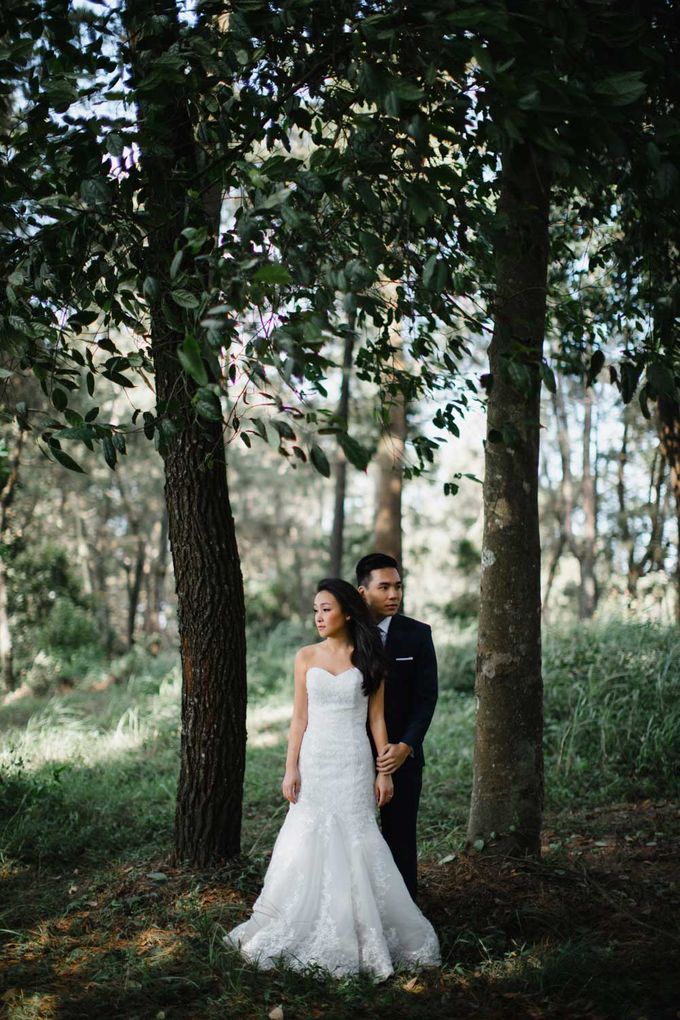 Pra Nikah Di Gunung Kintamani by Maxtu Photography - 021