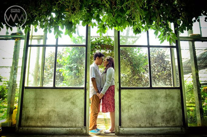 Engagement / Postwedd by pictures by OWMO - 006 Engagement / Postwedd by pictures by OWMO - 006