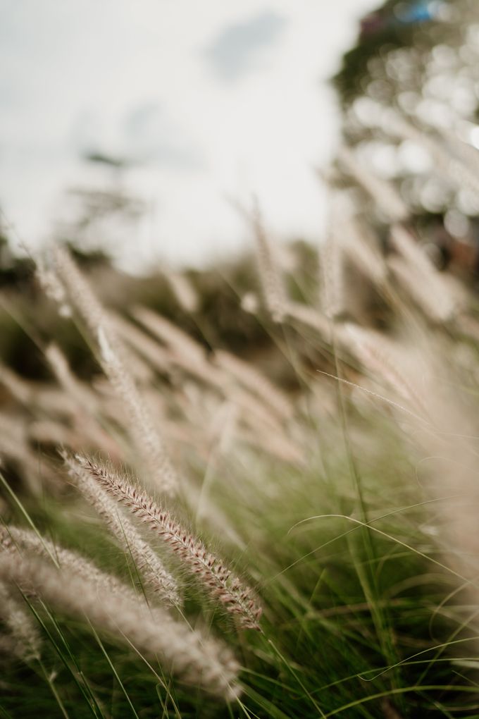 Alia & Rafi Prewedding by AKSA Creative - 026